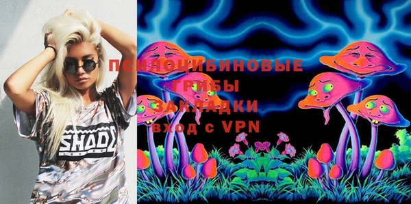 стафф Зеленокумск
