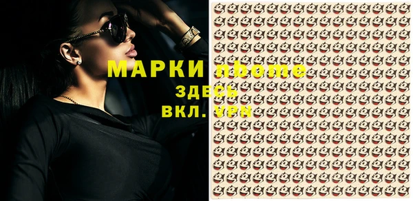 стафф Зеленокумск