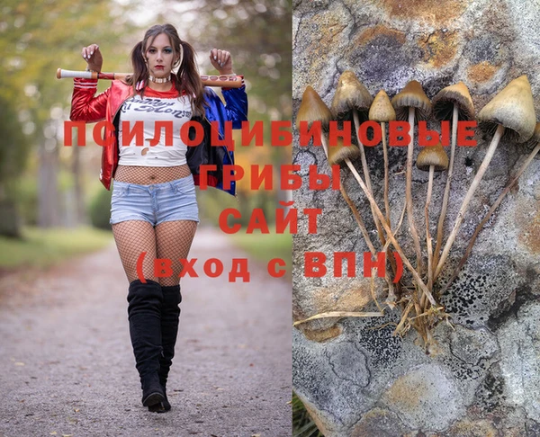 прущие крисы Зерноград