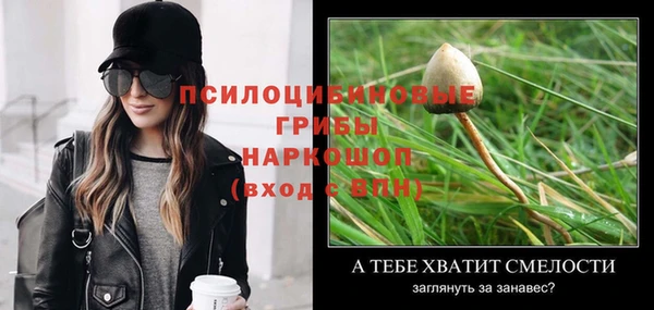 стафф Зеленокумск