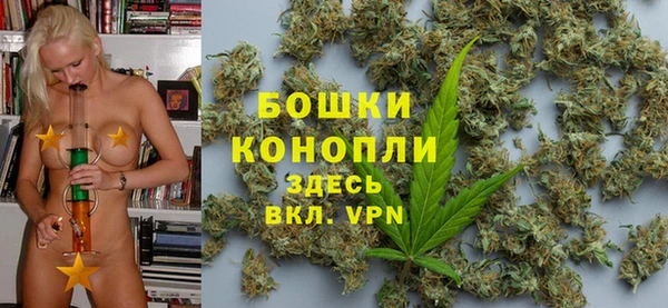 стафф Зеленокумск