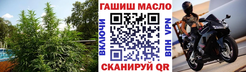 дарнет шоп  Артём  ТГК THC oil 